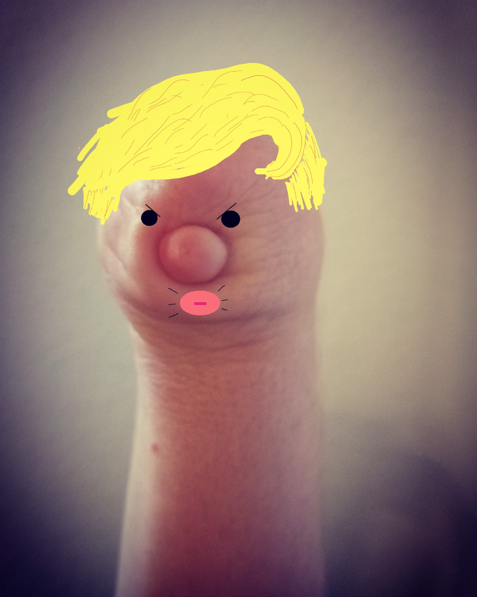 Maleficent, Trump and How I Became a Hand Stump Stylist