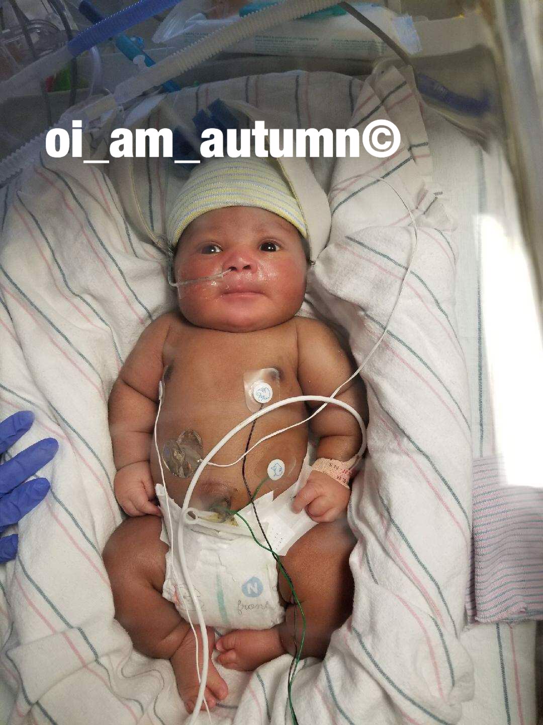 OI Am Bringing A New Life Into The World