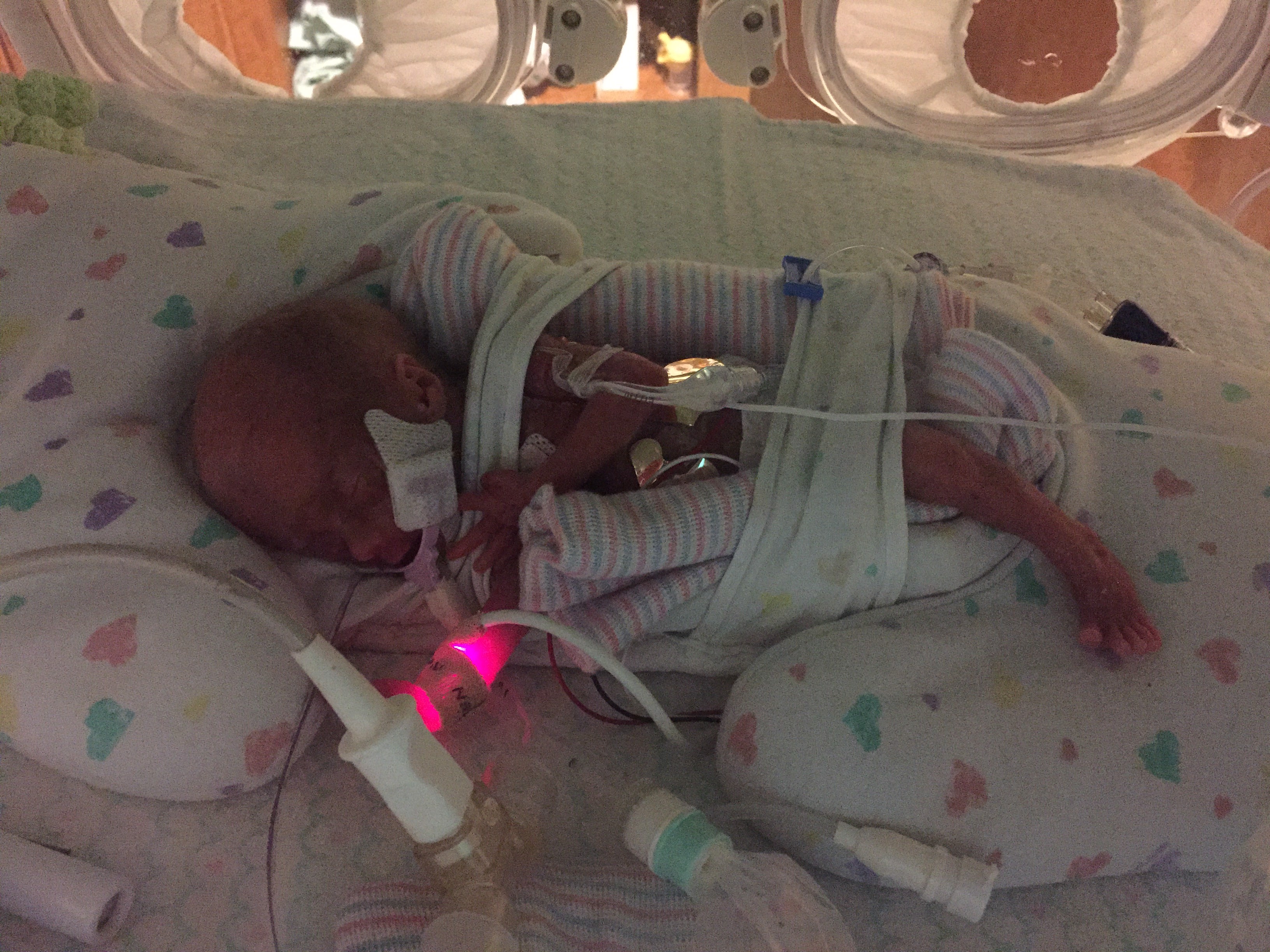 Lily’s Little Lungs