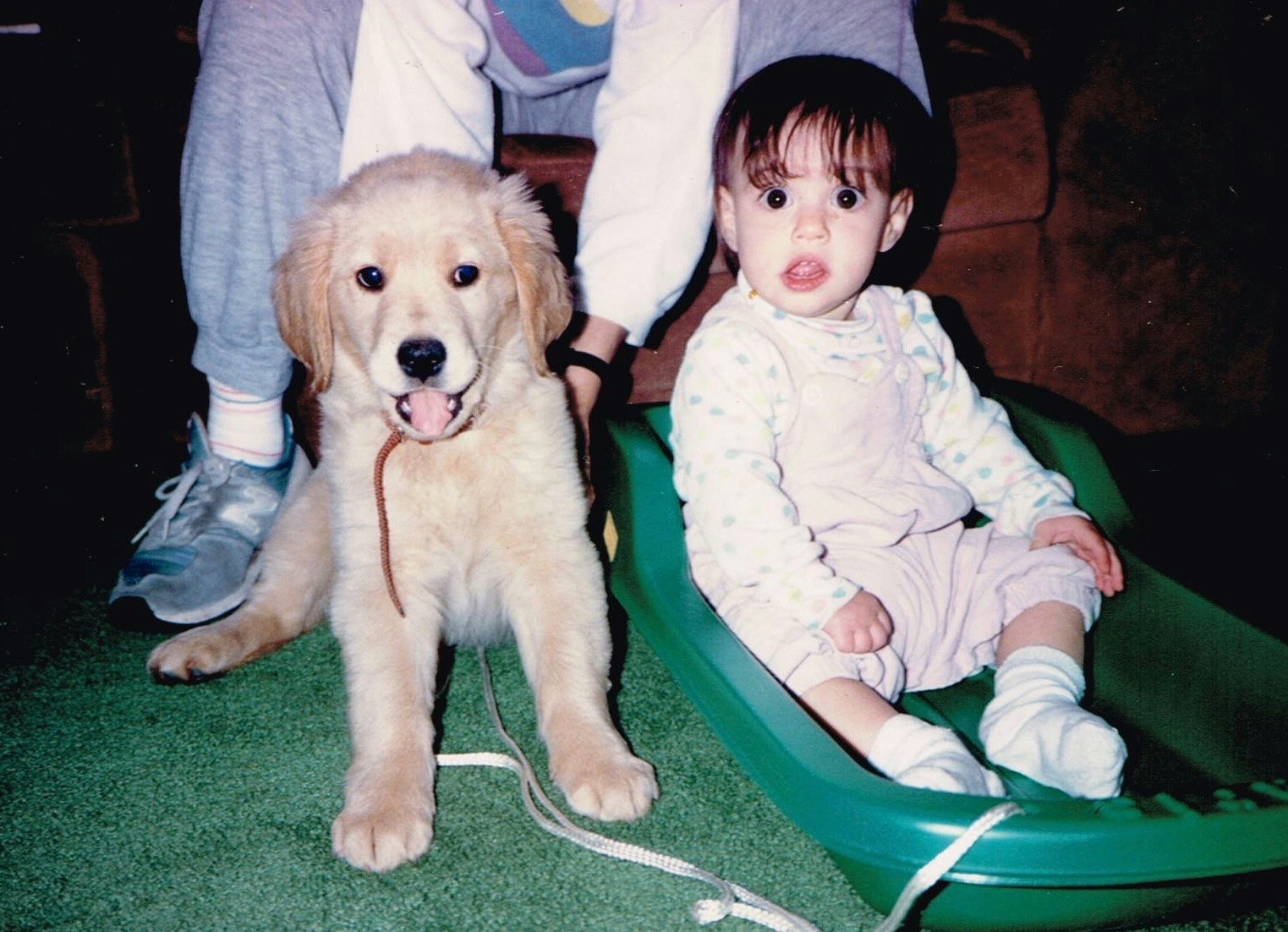 A Capricorn's Path to Independence