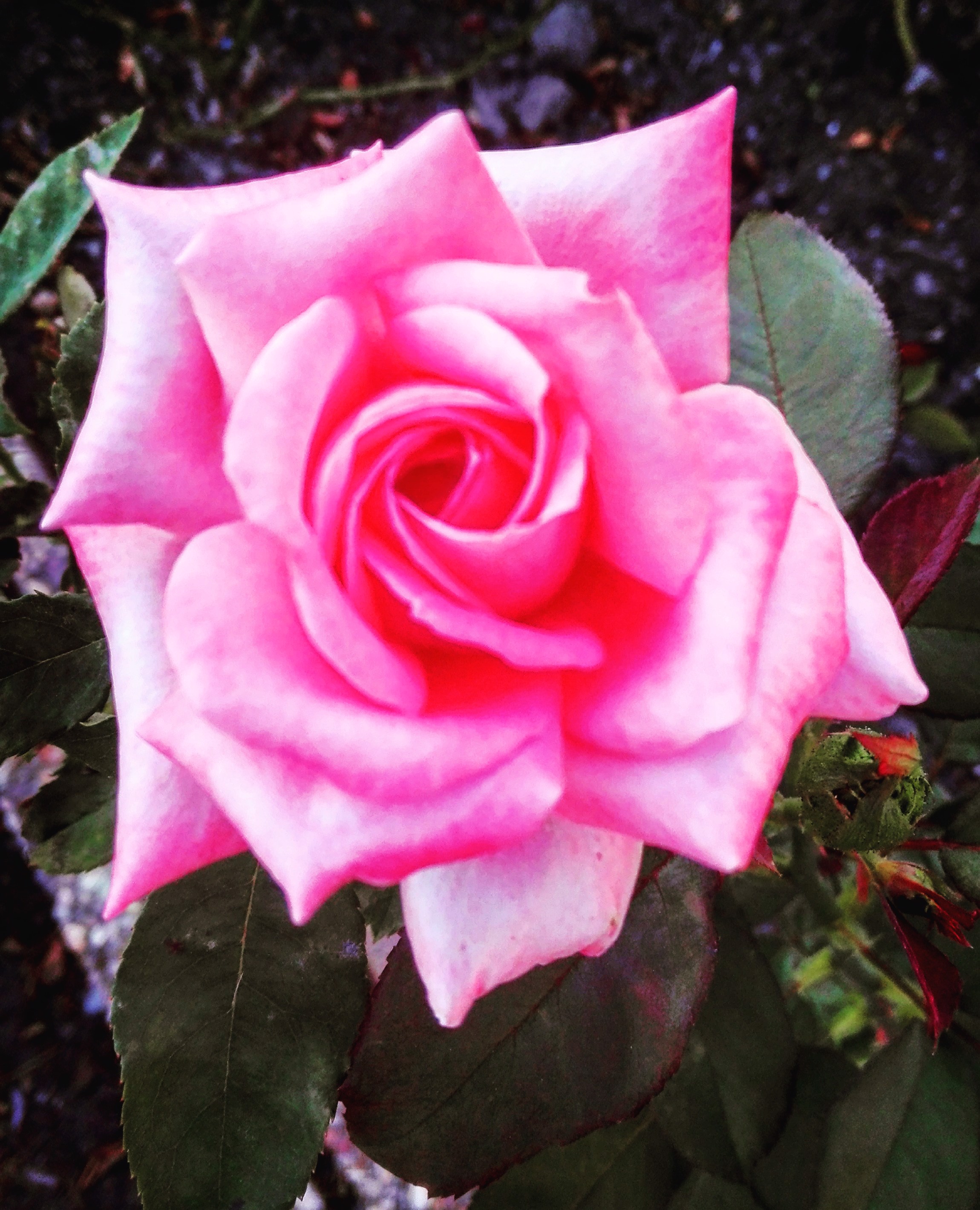 How to improve your self-esteem and life with a disability