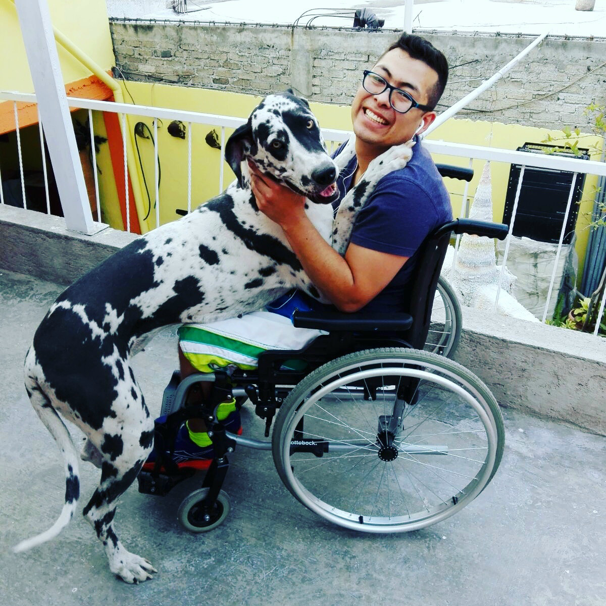 Tell me that I can not and I will