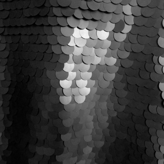 Black Sequin (18mm).png