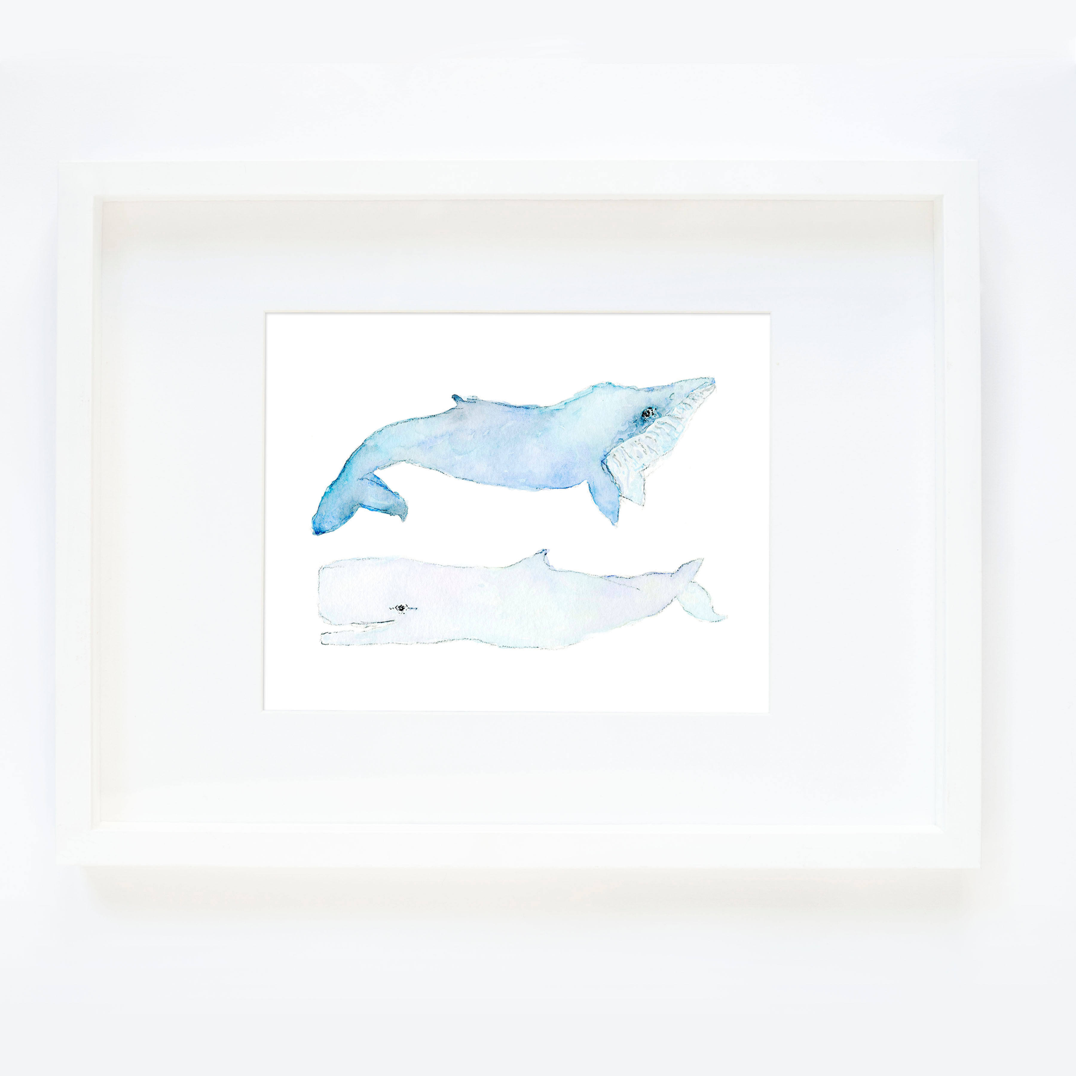 Whales 2 a