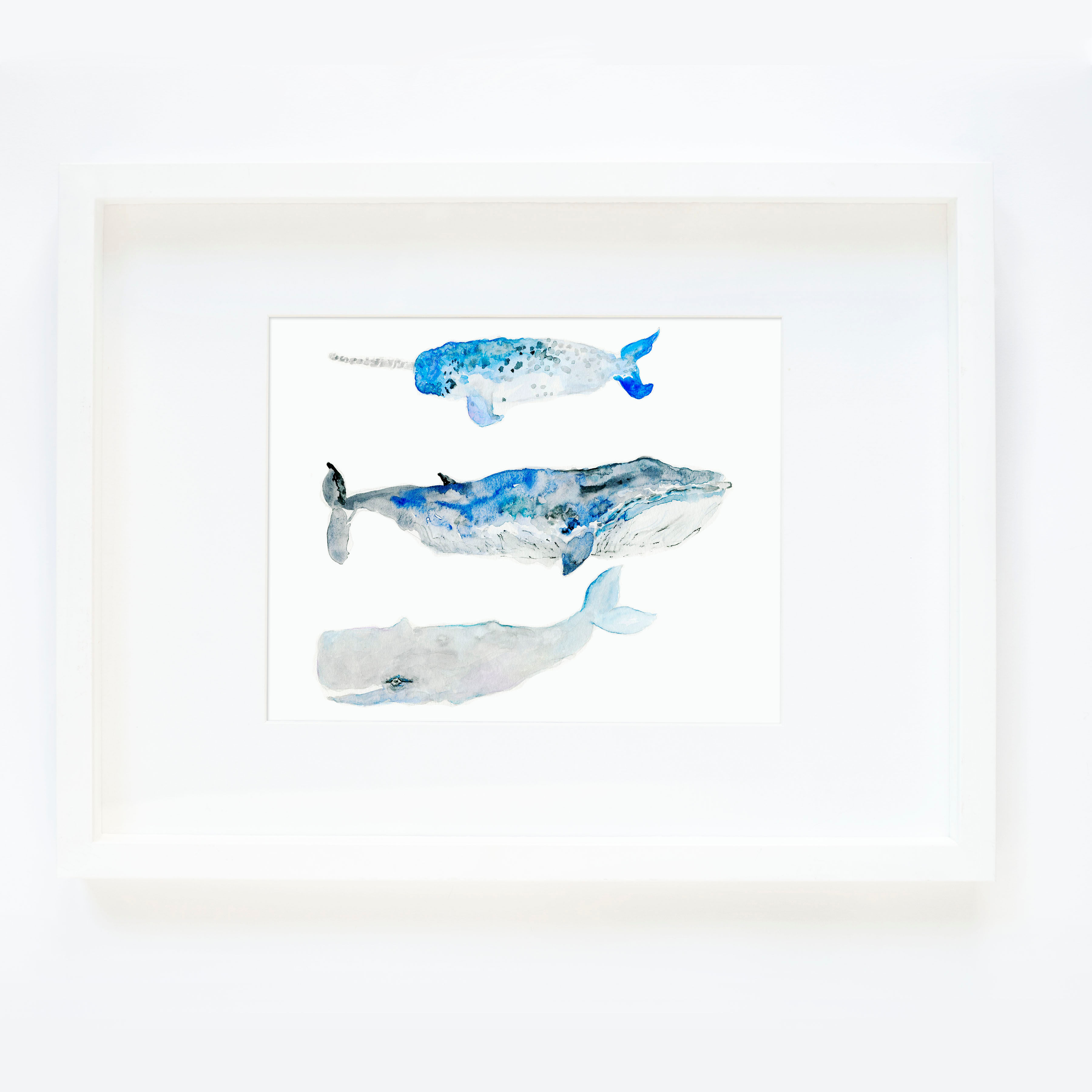 Whales 3