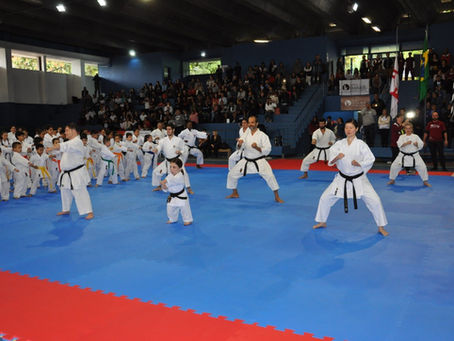 Karate na mídia
