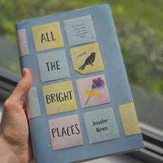 ALL THE BRIGHT PLACES - JENNIFER NIVEN