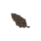 Pine Cone 5