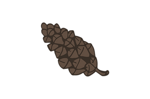 Simple Pine Cone Illustration