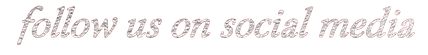 social%20media_edited.png