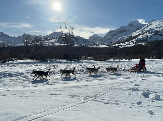 2379dce6-dd1c-437e-a0ce-cbb71d3d5174 (1)_edited.jpg