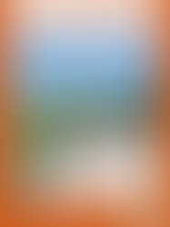 Animations de l'été