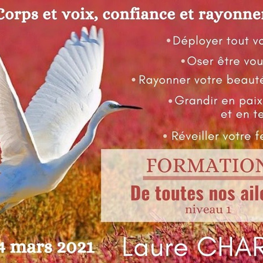Formation "De toutes nos ailes !" niveau 1