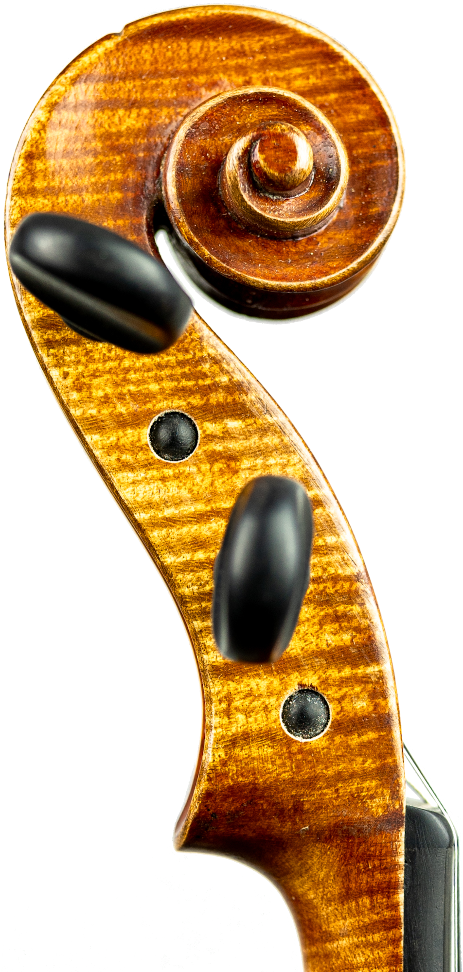 Thumbnail: Arno Mueller - before 1956