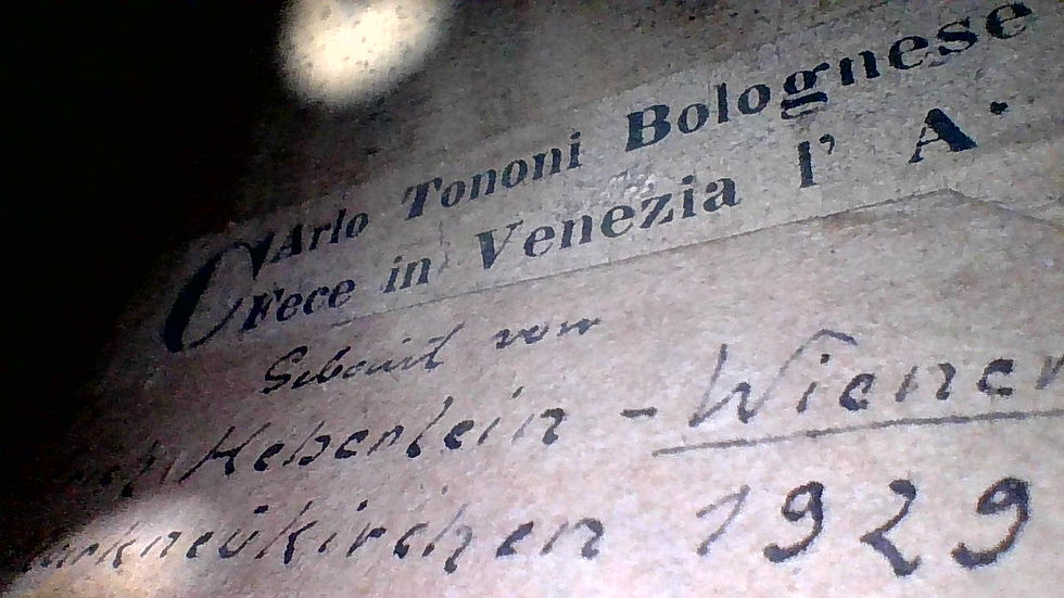 Miniaturbild: Erich Heberlein - Wiener (Carlo Tononi Copie) - 1929