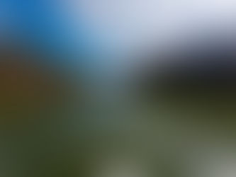 Stand up paddleboarder paddling on the lake Mola in Slovenia