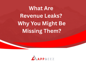 What Are Revenue Leaks? and Why You Might Be Missing Them?