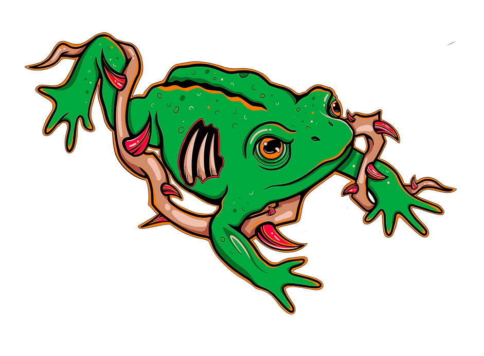 Image (43).png