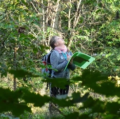 Schülerin schaut sich im Wald um