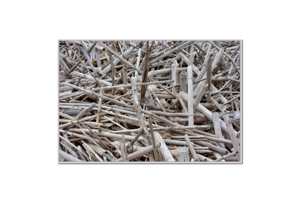 Miniaturbild: Kunstfotoshop, Reisefotoshop, Reise Wandbilder