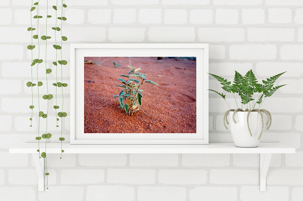 Miniaturbild: Hochwertige Reisefotografie, Beste Reisefotografen, Beste Reisefotrografin,