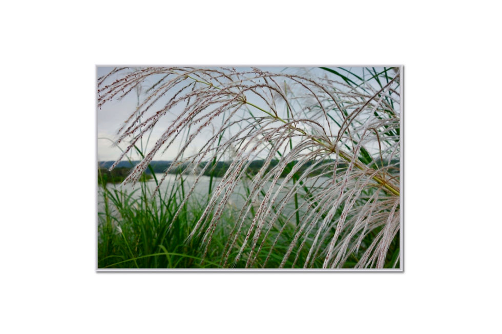 Miniaturbild: Galerie TravelArt, Kunstfotoshop, Reisefotoshop,