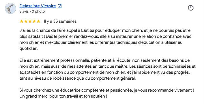 Avis google - jan.png