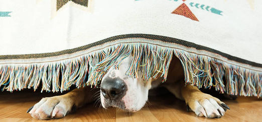 istockphoto-1182916464-612x612.jpg
