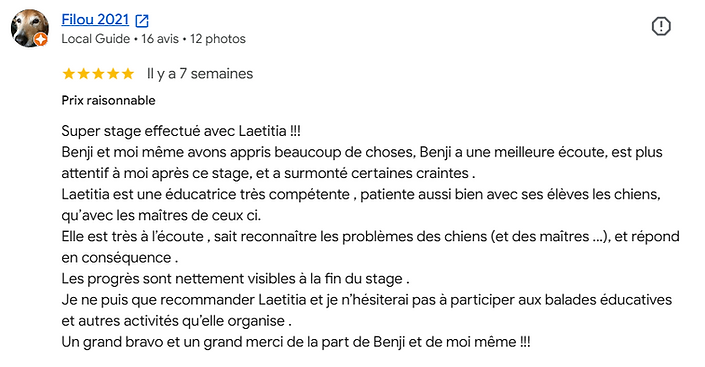 Avis google - Benji - Rappel.png