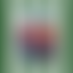 WELCOME ABOARD: FLIGHT WITH NO SCREENS, JUST MEMORIES