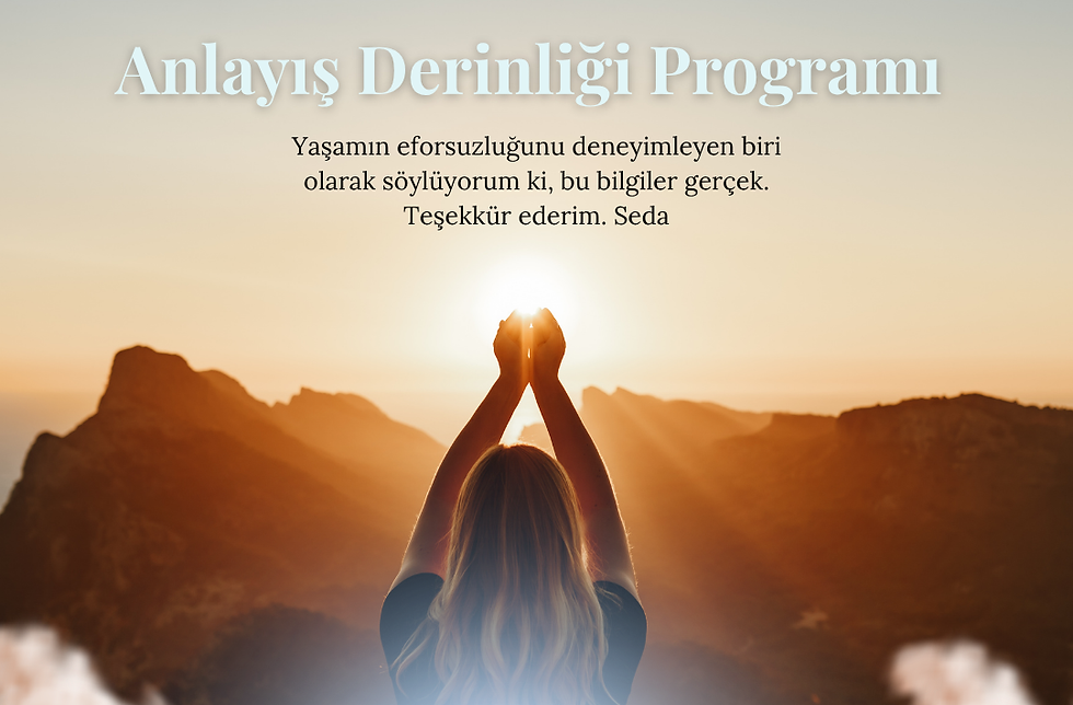 Anlayış Derinliği Programı kopyası (1).png