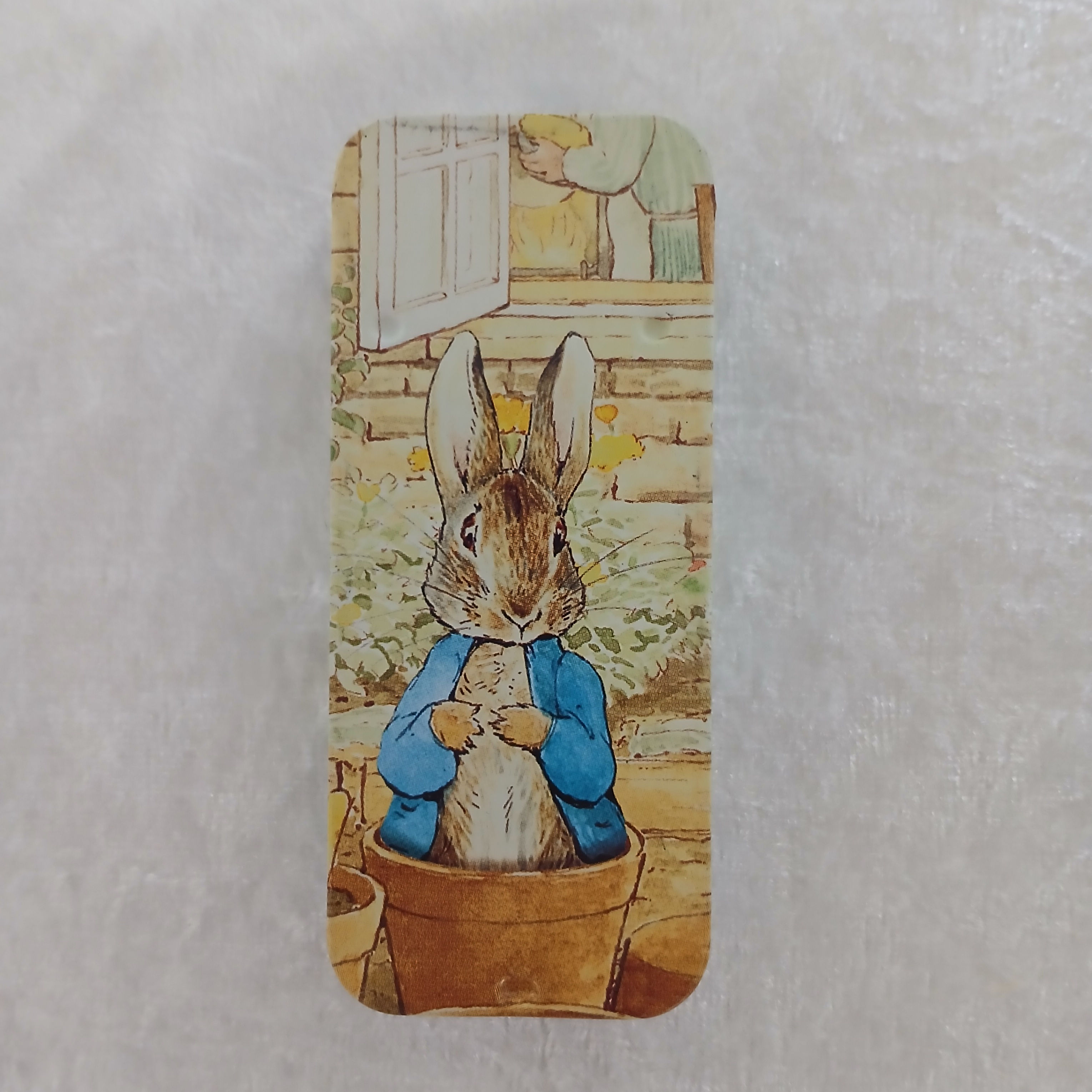 PETER RABBIT SLIDERS