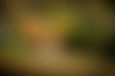 a woman in the park sits on an aerial hoop