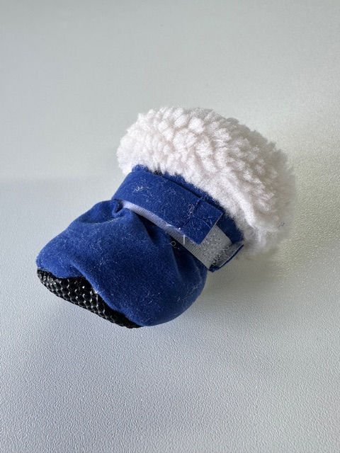 Miniature : Chaussures pour chiens ou pour chats