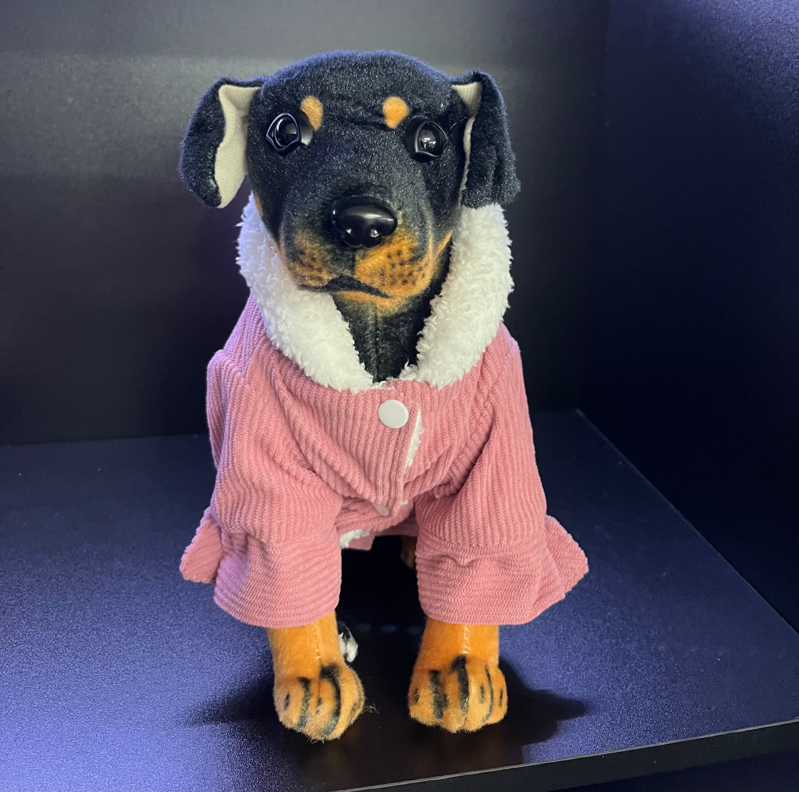 Veste rose