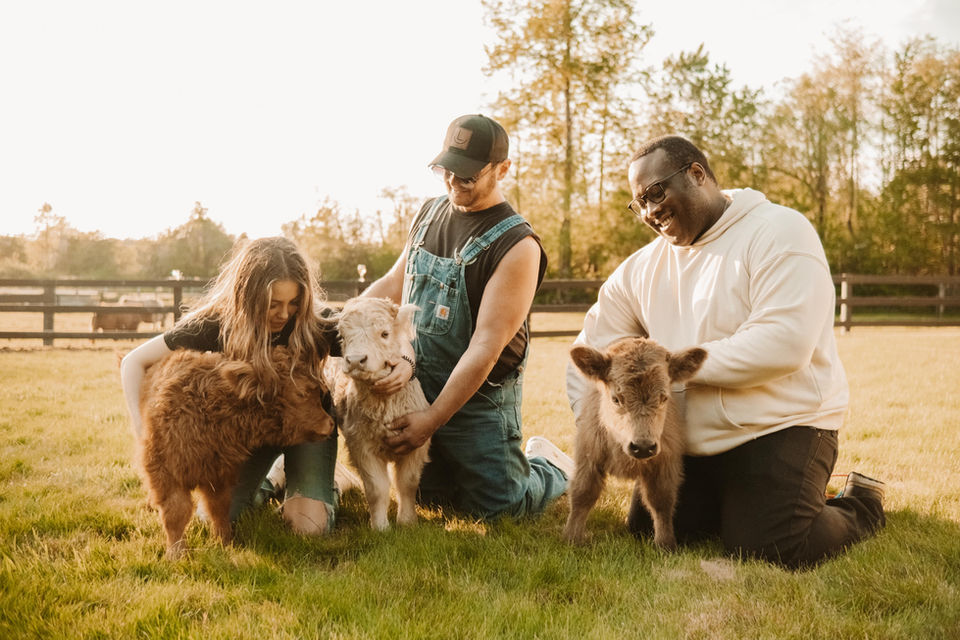Rocking L Ranch Mini Highland Cows