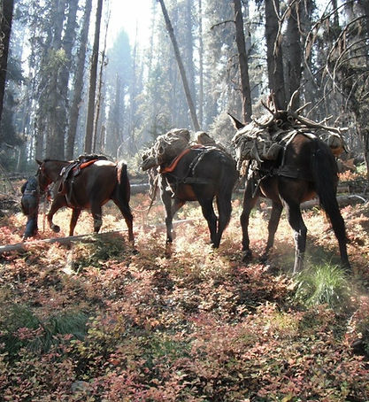 Trail Ride Montana