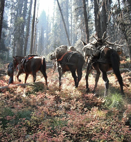 Trail Ride Montana