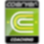 Coerver_download.jpeg