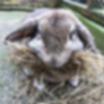 Thumbnail: Bale of Hay