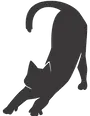 stretching cat.webp