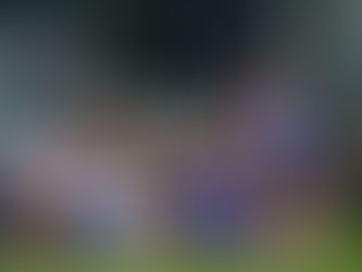 With SEA Games gold, Filipinas remind the forgetful who they are