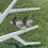 Thumbnail: Cat Moon Dangle & Drop Earrings