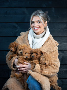 Sanne met toypoodle pups