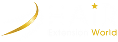 Hair Extension Logo.png
