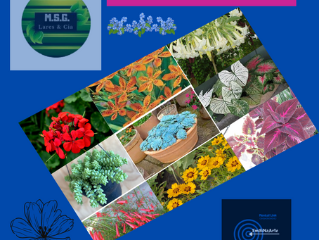 Nos Jardins do Passado