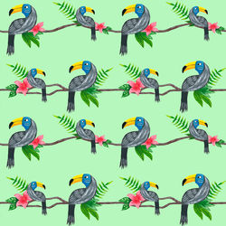 Toucan Trees