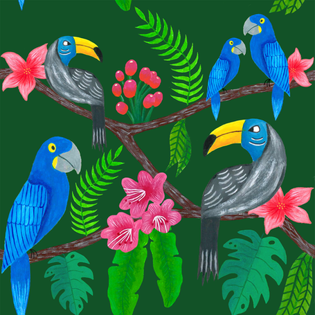 Tropical Habitat