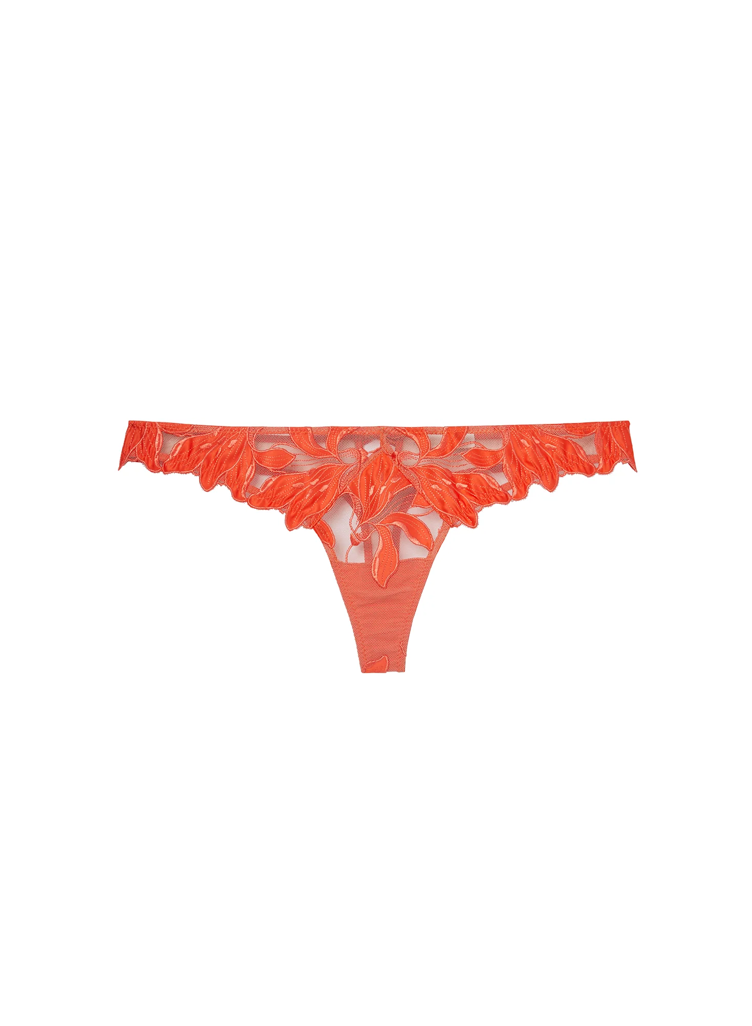 Lily $58