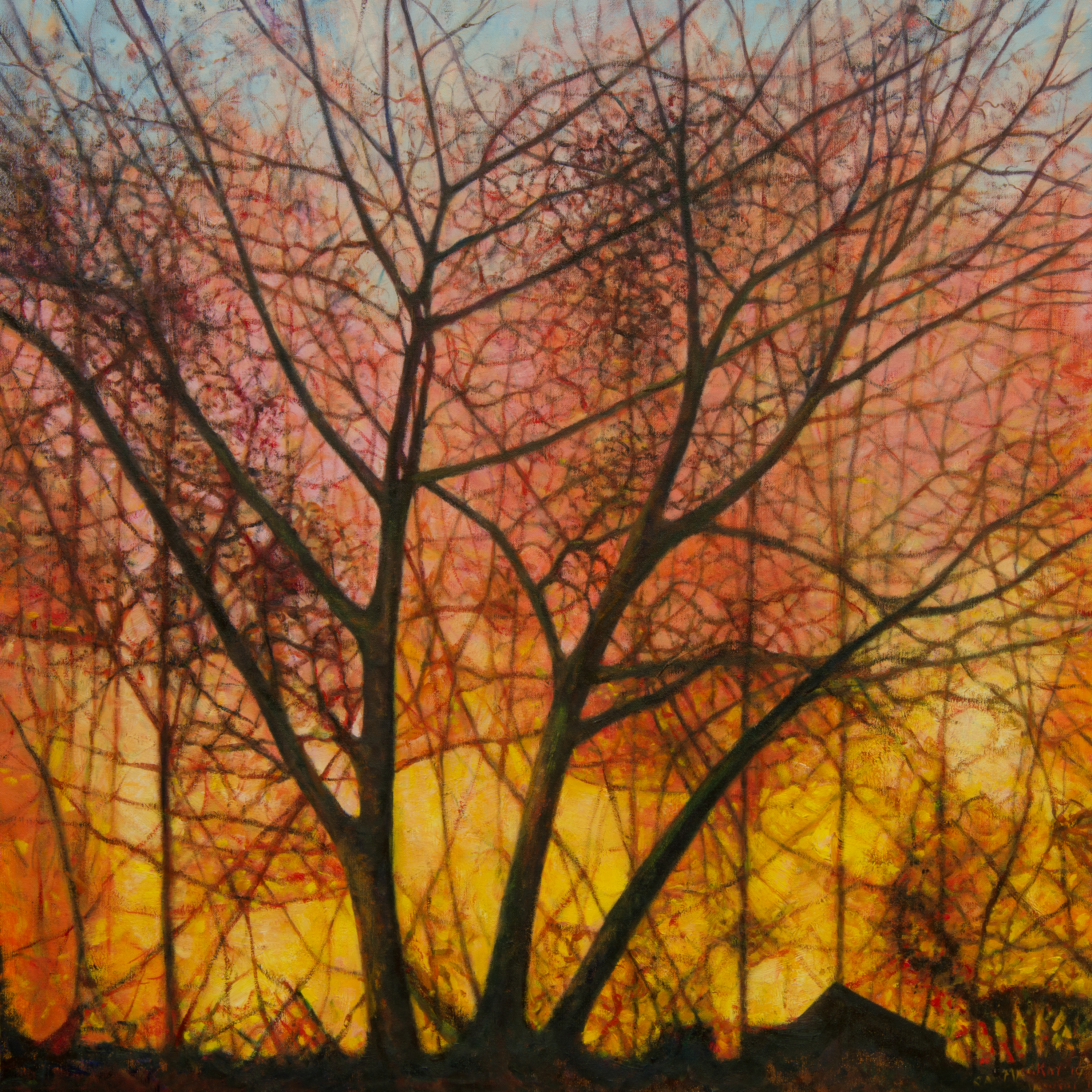 Sunset chez Mackay